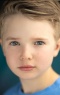 Brady Droulis