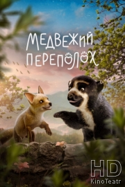 Медвежий переполох